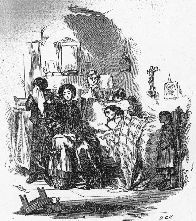 Irish Wake Cow Hampshire