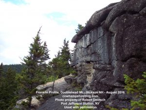 Ben Frankiln Profile watermarked