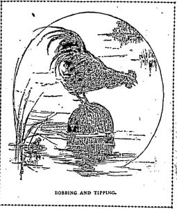 bobbing-and-tipping-carr-poem