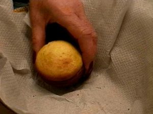 salt biscuit