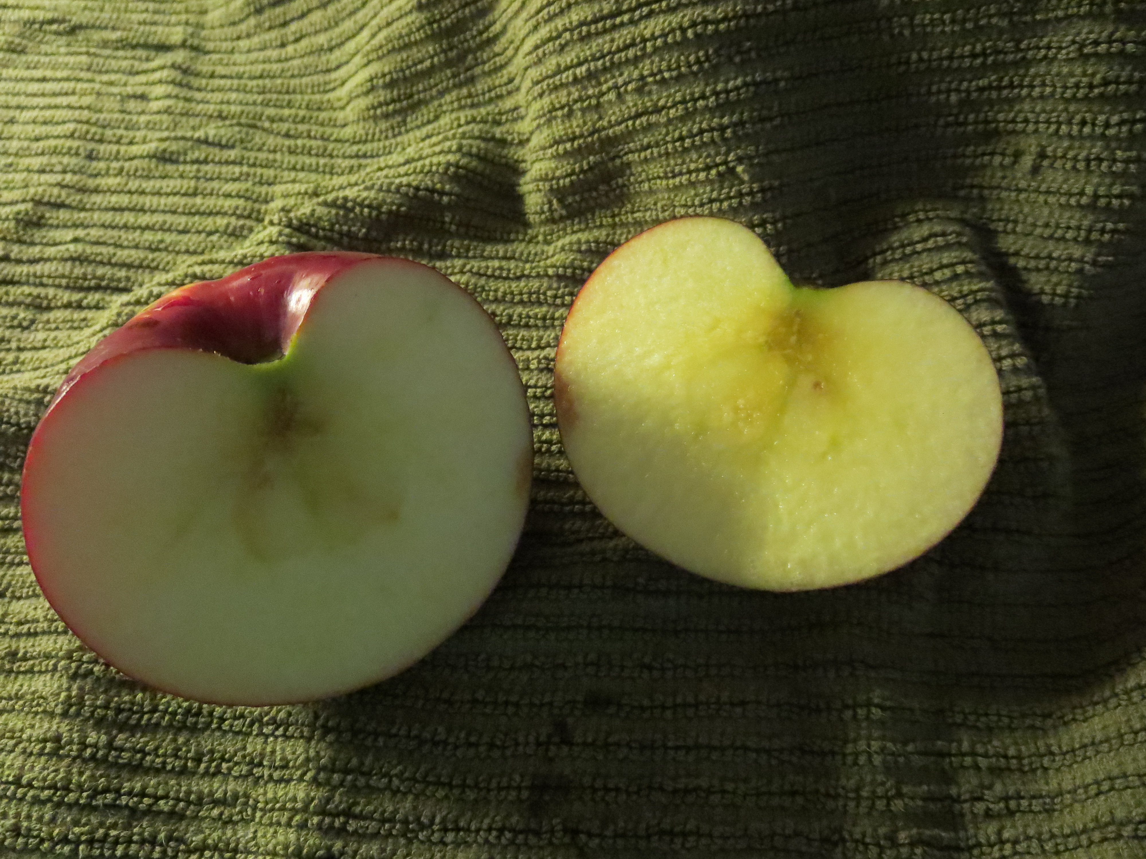 A Jona-Red Apple, cut open showing inside. Photograph by Janice W. Brown, Blog: Cow Hamphire