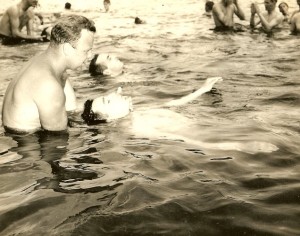 Cow Hampshire photograph Grenier Field swimming lessons