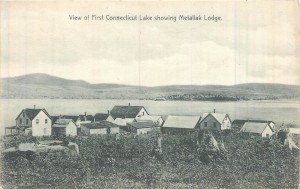 Mettaluk