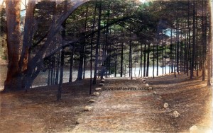 Pine Iland Pond 3 watermark