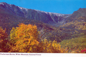 Tuckerman Ravine 2