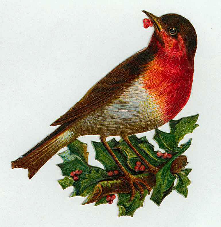 bird with berry