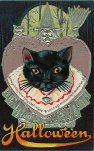 Halloween cat