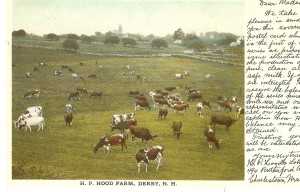 Postcard of HP Hood Farm in Derry NH