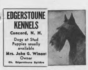 Edgerstoune Kennels advertisement
