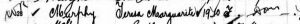 Snippet of the 1910 Passenger list