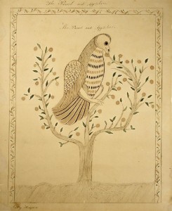 Drawing. The Parrot and Apple Tree, by Sally Hodgdon (1780-1855), 1810. Ink and watercolor on paper. Sally Hodgdon was the daughter of Abner & Sarah (Dame) Hodgdon, a NH Watercolorist, and School teacher in Milton (1804, 1806) and Farmington (1811) New Hampshire.