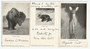 postcard 1