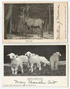 postcard 2