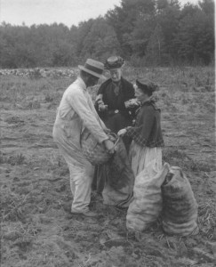 Photograph courtesy of the UC Riverside California Museum of Photography, "Measuring Potatoes in Field. Reeds Ferry, N.H., Gifford M. Mast, Keystone-Mast Collection, date unknown